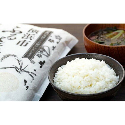 横浜市ふるさと納税返礼品　環境にやさしい無洗米を食べてSDGsへ取り組もう！「BG無洗米　横浜市産はるみ（3kg×3袋）」 | お米 こめ 白米 食品 人気 おすすめ 送料無料