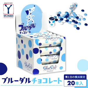 【ふるさと納税】青と白の横浜限定 ブルーダルチョコレート(20本入) | お菓子 菓子 スイーツ チョコ 食品 おすすめ 送料無料