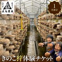 【ふるさと納税】永島農園 きのこ狩り体験チケット 1人分 | 券 人気 おすすめ 送料無料