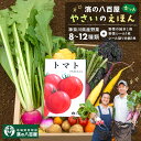 【ふるさと納税】【濱の八百屋】やさいのえほんセット(8~12種類) | 野菜 やさい 食品 人気 おすすめ 送料無料