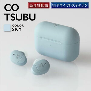 【ふるさと納税】【2209】【SKY】ag COTSUBU 完全ワイヤレスイヤホン