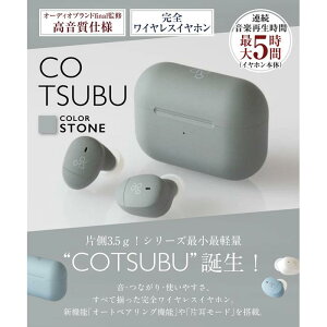 【ふるさと納税】【2193】【STONE】ag COTSUBU 完全ワイヤレスイヤホン