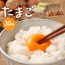 【ふるさと納税】単なる平飼いではない究極の卵『わたしたちのぷらいどたまご』3パック（30個）セット | たまご 卵 セット その1