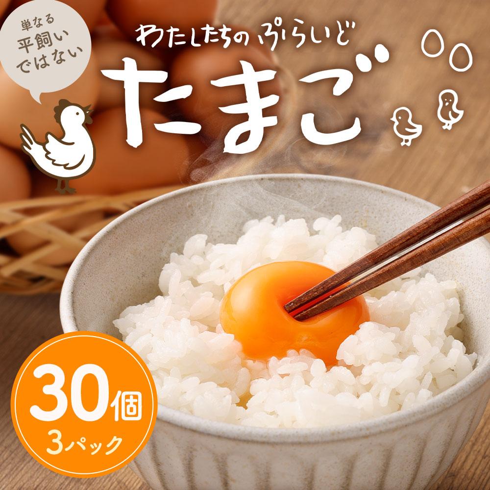 【ふるさと納税】単なる平飼いではない究極の卵『わたしたちのぷらいどたまご』3パック（30個）セット | たまご 卵 セット