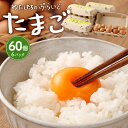 【ふるさと納税】単なる平飼いではない究極の卵『わたしたちのぷらいどたまご』6パック（60個）セット | たまご 卵 セット