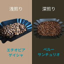 【ふるさと納税】スペシャルティコーヒー豆200g2種セット「深浅の旋律」 | 珈琲 飲料 コーヒー豆 ソフトドリンク 人気 おすすめ 送料無料