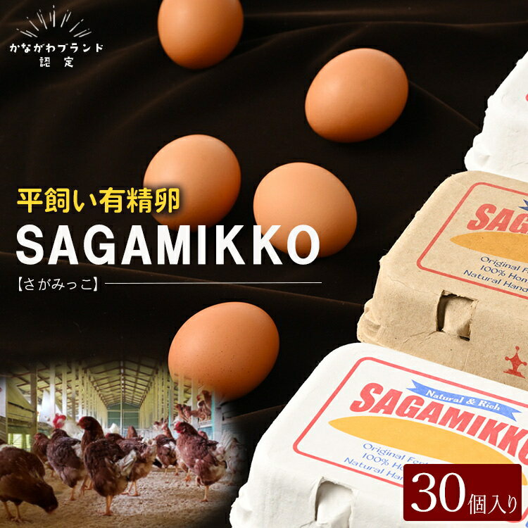 【ふるさと納税】《かながわブランド認定》平飼い有精卵さがみっこ 30個入 | 平飼い ケージフリー 卵 有精卵 鶏卵 玉子 たまご 生卵 国産 濃厚 コク 旨味※着日指定不可