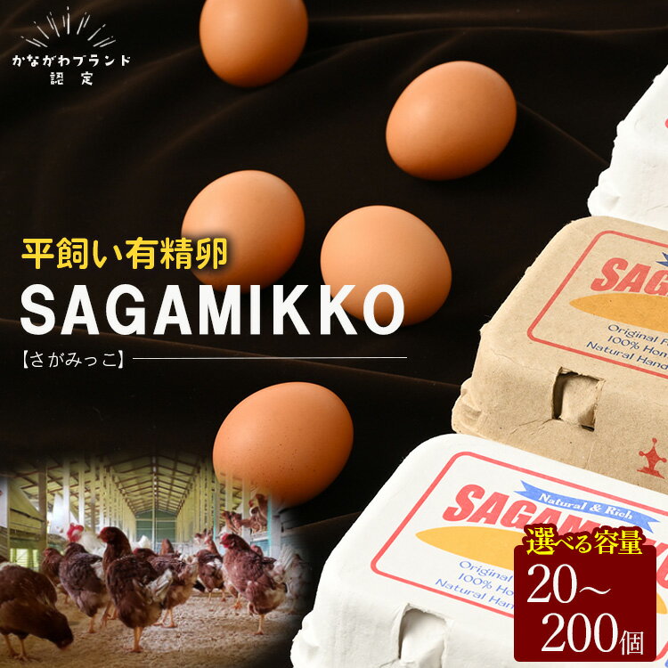 14位! 口コミ数「1件」評価「5」《かながわブランド認定》平飼い有精卵さがみっこ | 平飼い ケージフリー 卵 有精卵 鶏卵 玉子 たまご 生卵 国産 濃厚 コク 旨味 ※離･･･ 