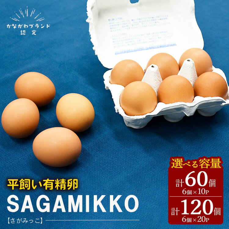 【ふるさと納税】《かながわブランド認定》平飼い有精卵さがみっこ 6個入り | 平飼い ケージフリー 卵 有精卵 鶏卵 玉子 たまご 生卵 国産 濃厚 コク 旨味 ※離島への配送不可