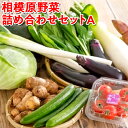 10位! 口コミ数「0件」評価「0」相模原野菜詰め合わせセットA※着日指定不可