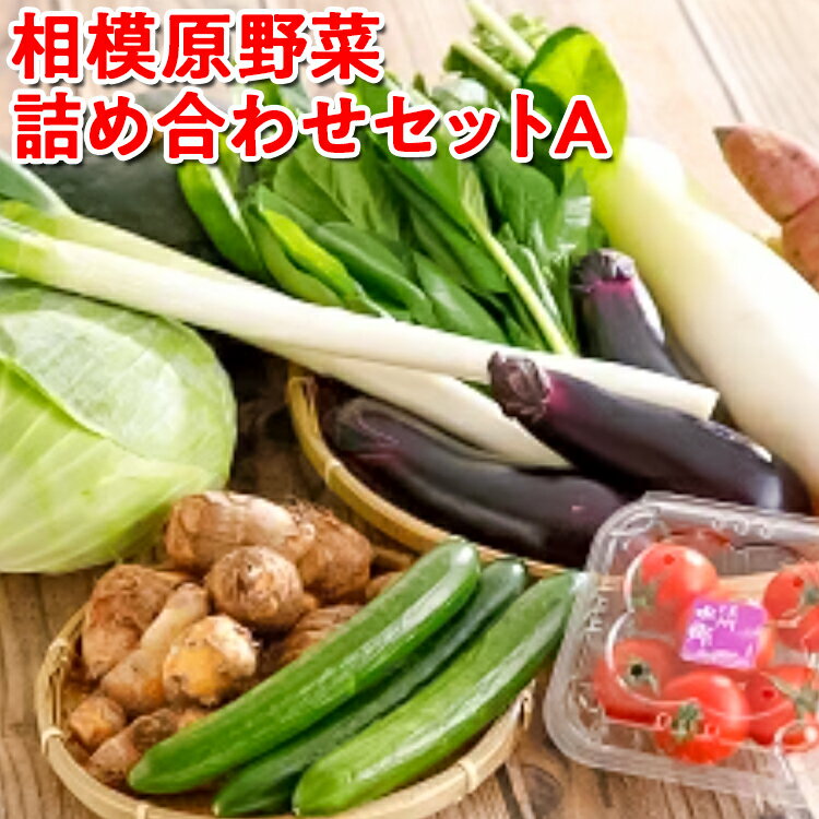 【ふるさと納税】相模原野菜詰め合わせセットA※着日指定不可