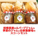 【ふるさと納税】相模原産のルバーブジャム&季節のジャムと自家製酵母のスコーン3個セット