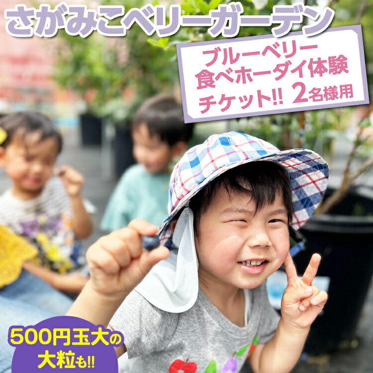[おいしいにまなびをプラス]関東最大級の30種類越え!!2名様用 さがみこベリーガーデンのブルーベリー食べホーダイ体験チケット!!