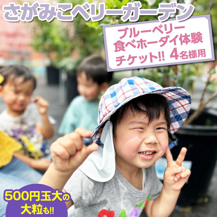 【ふるさと納税】【おいしいにまなびをプラス】関東最大級の30種類越え！！4名様用 さがみこベリーガーデンのブルー…