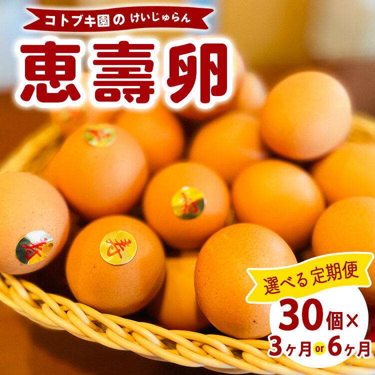 【ふるさと納税】【定期便】当社自慢の卵 恵壽卵 30個入り | 卵 たまご タマゴ けいじゅらん 鶏卵 玉子 国産 定期便 先行予約 先行受付 ※離島への配送不可 ※2025年2月上旬~2025年10月下旬頃に順次発送予定