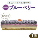 【ふるさと納税】セミフレッドアイスケーキ 相模原産ブルーベリー