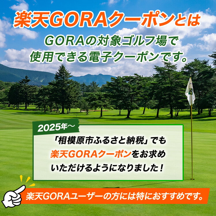 【ふるさと納税】神奈川県 相模原市の対象ゴルフ場で使える 楽天GORAクーポン 寄付額30,000円その2