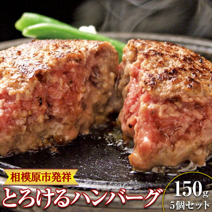 【ふるさと納税】とろけるハンバーグ5個セットのサムネイル