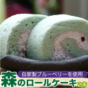 【ふるさと納税】森のロールケーキ(ブルーベリーロールケーキ)