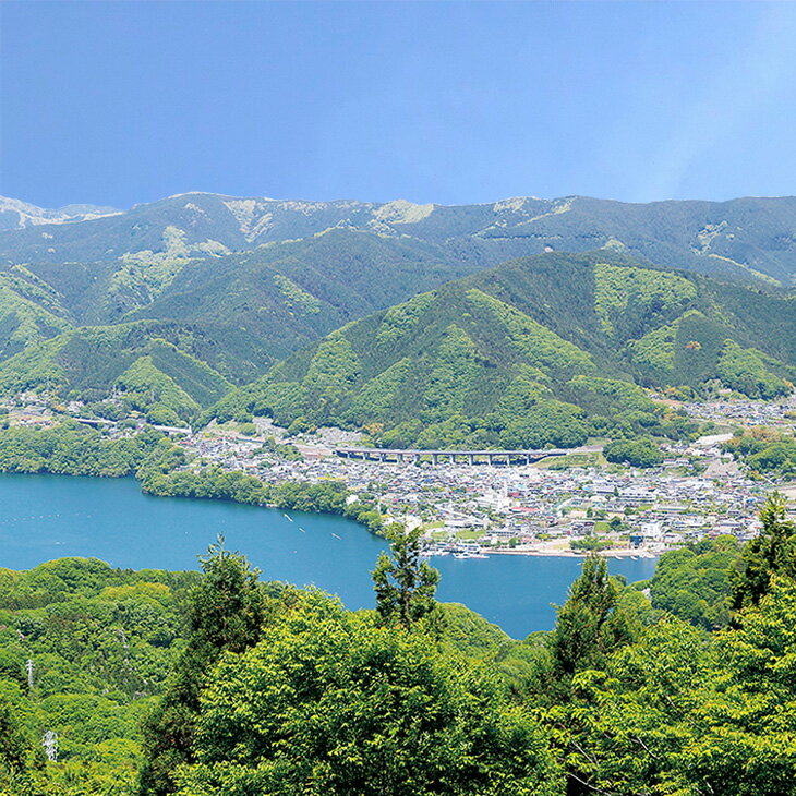 【ふるさと納税】神奈川県相模原市の対象施設で使える楽天トラベルクーポン 寄付額20,000円