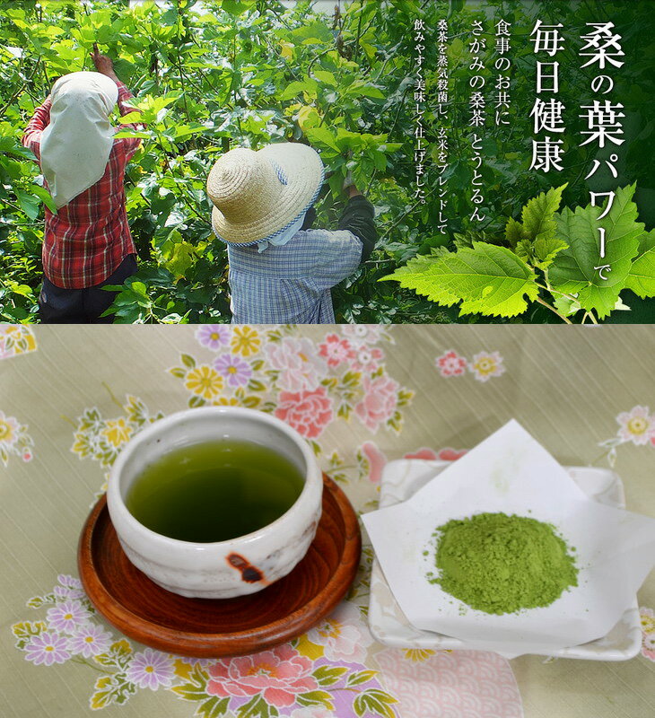 【ふるさと納税】さがみの桑茶「とうとるん」セット4