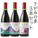 【ふるさと納税】【お中元】さがみの夢ワイン 飲みくらべ3本セット(「プレミアム」、「レギュラー」、「フルーティーブレンド」各1本)