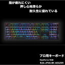 【ふるさと納税】東プレ　コンピューターキーボードC　Realforce RGB　(型式：R2A-JP4G-BK AEAZ05）