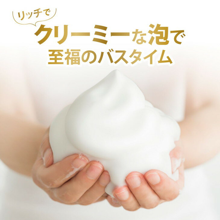 【ふるさと納税】ダヴボディウォッシュ プレミアムモイスチャーケア ポンプ470g×1・つめかえ用330g×2 ※離島への配送不可