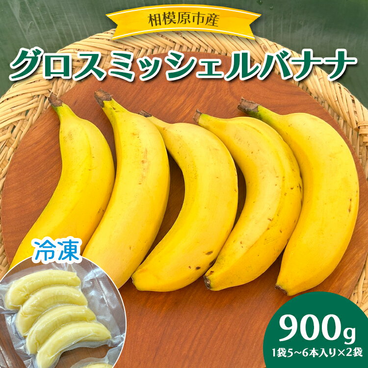 【ふるさと納税】【お中元】相模原産 グロスミッシェルバナナ 冷凍 900g（2袋）｜ばなな バナナ 皮まで食べられる 皮ごと 果物 くだも..