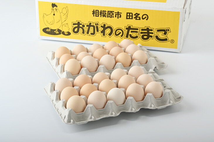 【ふるさと納税】相模原市田名のおがわのたまご　ピンク卵（Lサイズ）30個