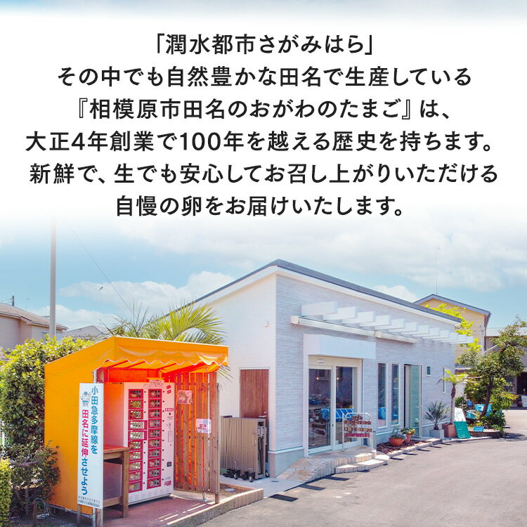 【ふるさと納税】【7ヶ月定期便】相模原市田名のおがわのたまご　ピンク卵 Mサイズ 30個(27個＋割れ補償3個)×7か月| 卵 鶏卵 玉子 たまご 生卵 国産 濃厚 コク 旨味 旨み※着日指定不可