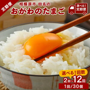 【ふるさと納税】【選べる定期便】2ヶ月~12ヶ月 相模原市田名のおがわのたまご ピンク卵 Mサイズ 30個(27個+割れ補償3個) | 卵 鶏卵 玉子 たまご 生卵 国産 濃厚 コク 旨味 旨み