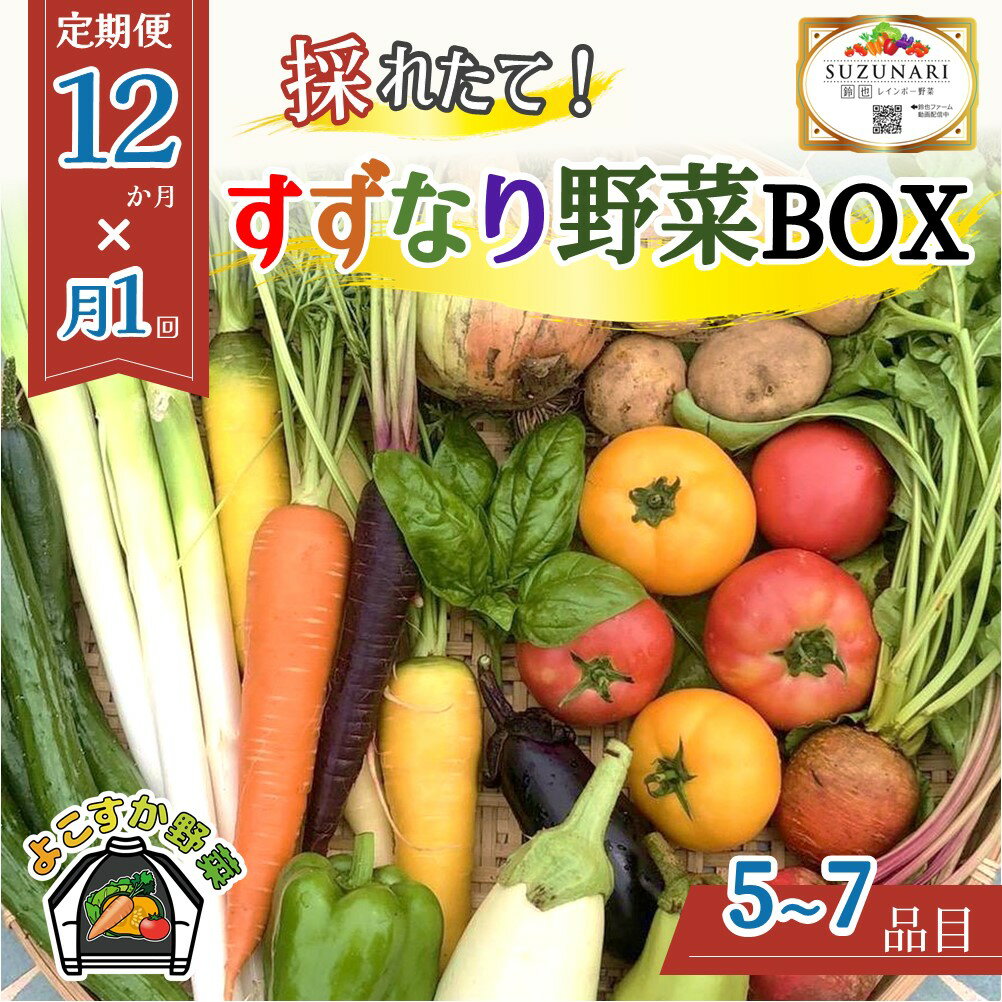 すずなり採れたて野菜BOX(定期便)60サイズ 12ヶ月 横須賀市 野菜 旬 サラダ セット 採れたて おまかせ 新鮮 直送 [定期便・ 詰合せ ミネラル たっぷり ニンジン 大根 甘み こだわり ]