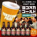 【ふるさと納税】【全6回定期便】横須賀クラフトビール ヨコスカゴールド5.5度6本セット (330ml瓶×計36本)クラフトビール【有限会社たのし屋本舗】[AK...