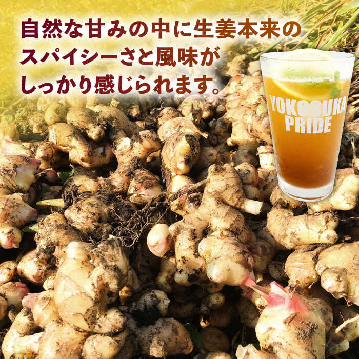 【5個セット】接骨木 刻 500g 小島漢方 にわとこ ニワトコ せっこつぼく セッコツボク