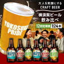 【ふるさと納税】【全12回定期便】飲み比べ ビール 3種 24本セット (330ml瓶×計288本) クラフトビール【有限会社たのし屋本舗】ビール お酒 びーる...