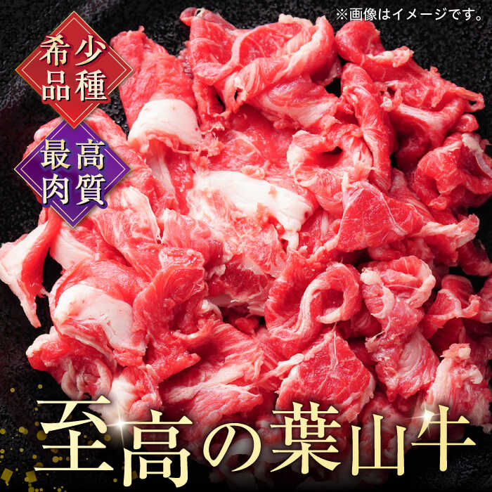 【ふるさと納税】【全3回定期便】葉山牛 切り落とし300g×2パック 計600g 国産牛 牛肉 切り落とし 薄切り 高級和牛 冷凍 黒毛和牛 国産 和牛 赤身 希少品種 小分け 横須賀 すき焼き すきやき ぎゅうにく きりおとし 大容量 神奈川銘品 お取り寄せ 【株式会社羽根】[AKAG027]