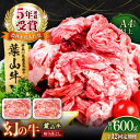 【ふるさと納税】【全12回定期便】葉山牛 切り落とし300g×2パック 計600g 国産牛 牛肉 切り落とし 薄切り 高級和牛 冷凍 黒毛和牛 国産 和牛 赤身...