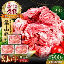 【ふるさと納税】【全12回定期便】葉山牛 切り落とし300g×3パック 計900g 国産牛 牛肉 切り落とし 薄切り 高級和牛 冷凍 黒毛和牛 国産 和牛 赤身...