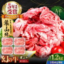 【ふるさと納税】【全6回定期便】葉山牛 切り落とし300g×4パック 計1.2kg 国産牛 牛肉 切り落とし 薄切り 高級和牛 冷凍 黒毛和牛 国産 和牛 赤身...