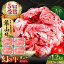 【ふるさと納税】【全12回定期便】葉山牛 切り落とし300g×4パック 計1.2kg 国産牛 牛肉 切り落とし 薄切り 高級和牛 冷凍 黒毛和牛 国産 和牛 赤...