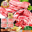 【ふるさと納税】【全3回定期便】葉山牛満腹セット(肩ロースすき焼用250g×2+切落し300g×2)国産牛 牛肉 切り落とし 肩ロース 贅沢 セット たっぷり ...