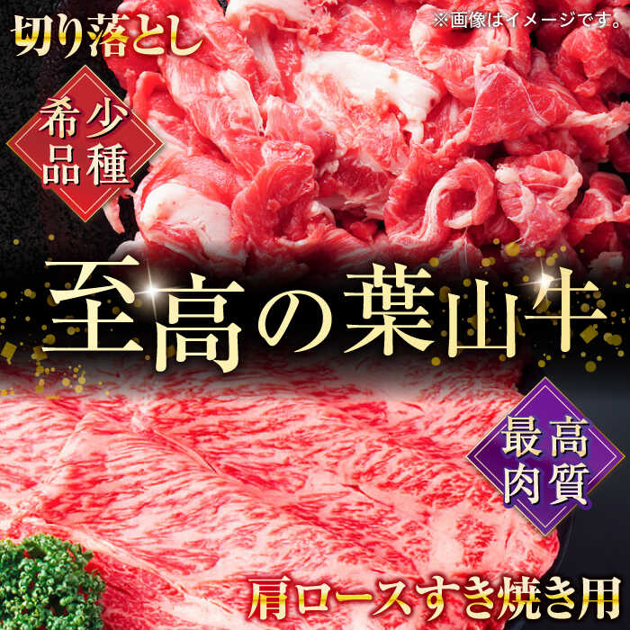 【ふるさと納税】【全6回定期便】葉山牛満腹セット（肩ロースすき焼用250g×2＋切落し300g×2）国産牛 牛肉 切り落とし 肩ロース 贅沢 セット たっぷり 大容量 1キロ超え 高級和牛 冷凍 黒毛和牛 国産 希少品種 小分け 横須賀 すき焼き ぎゅうにく【株式会社羽根】[AKAG043]