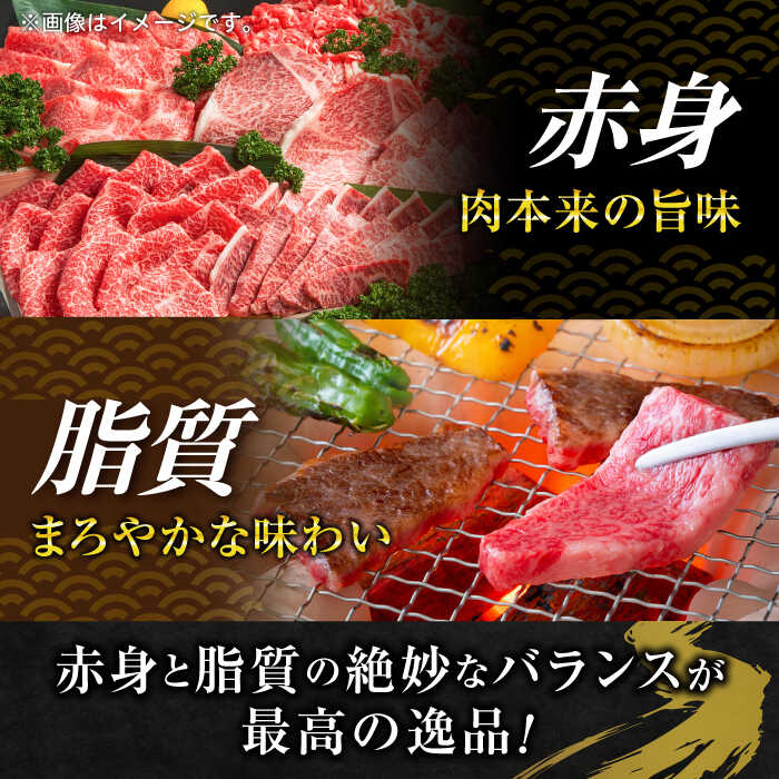 【ふるさと納税】【全6回定期便】葉山牛満腹セット（肩ロースすき焼用250g×2＋切落し300g×2）国産牛 牛肉 切り落とし 肩ロース 贅沢 セット たっぷり 大容量 1キロ超え 高級和牛 冷凍 黒毛和牛 国産 希少品種 小分け 横須賀 すき焼き ぎゅうにく【株式会社羽根】[AKAG043]
