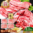 【ふるさと納税】【全12回定期便】葉山牛満腹セット(肩ロースすき焼用250g×2+切落し300g×2)国産牛 牛肉 切り落とし 肩ロース 贅沢 セット たっぷり...