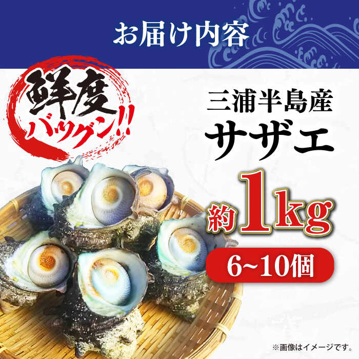 【ふるさと納税】三浦半島 サザエ 中サイズ 約1kg 6〜10個 さざえ バーベキュー つぼ焼き 直送 獲れたて 貝 魚貝類 魚介類 魚介 海鮮 新鮮 海の幸 貝 三浦半島 名産品 特産品 【長井水産株式会社】[AKAJ004]