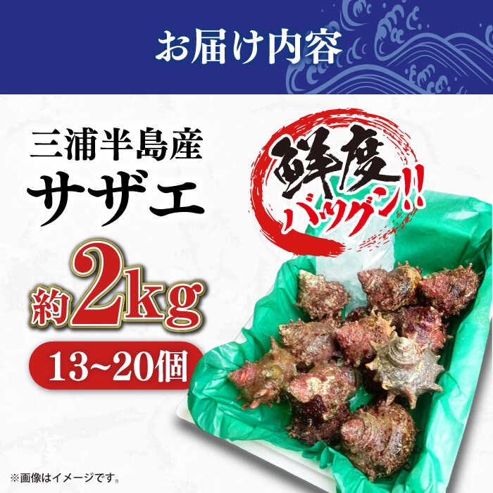 【ふるさと納税】三浦半島 サザエ 中サイズ 約2kg 13〜20個 さざえ バーベキュー BBQ 貝 直送 つぼ焼き 新鮮 直送 獲れたて 貝 魚貝類 魚介類 魚介 海鮮 新鮮 海の幸 貝 三浦半島 名産品 特産品【長井水産株式会社】[AKAJ005]