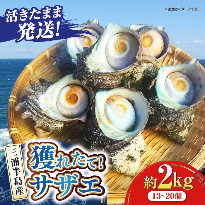 ڤդ뤵ǼǡۻȾ  極 2kg 1320  С٥塼 BBQ  ľ ĤܾƤ  ľ ͤ줿 ...