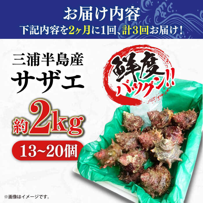 【ふるさと納税】【全3回 隔月 定期便】サザエ 2kg 13〜20個 三浦半島 さざえ バーベキュー BBQ 貝 直送 つぼ焼き 新鮮 獲れたて 魚貝類 魚介類 魚介 海鮮 海の幸 名産品 特産品 定期【長井水産株式会社】[AKAJ014]