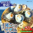 【ふるさと納税】【全3回 隔月 定期便】サザエ 2kg 13〜20個 三浦半島 さざえ バーベキュー BBQ 貝 直送 つぼ焼き 新鮮 獲れたて 魚貝類 魚介類...